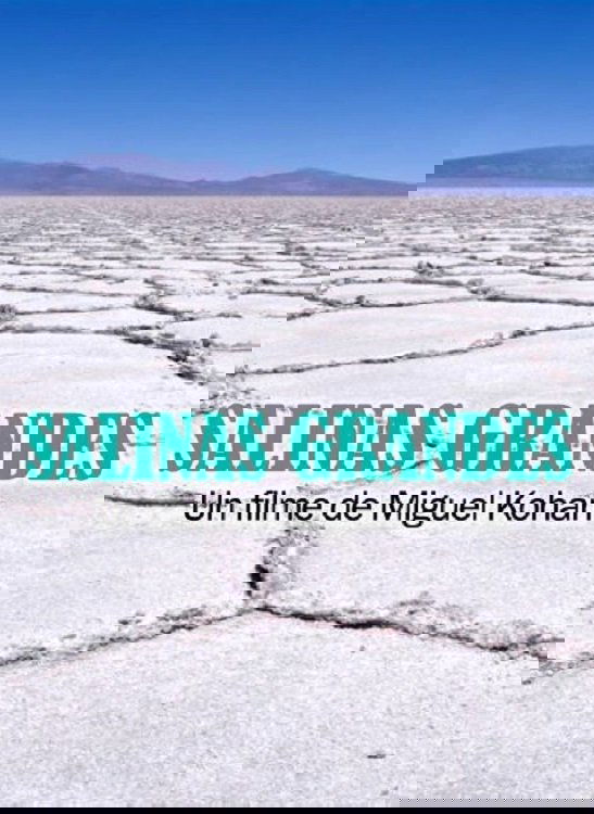 Salinas grandes