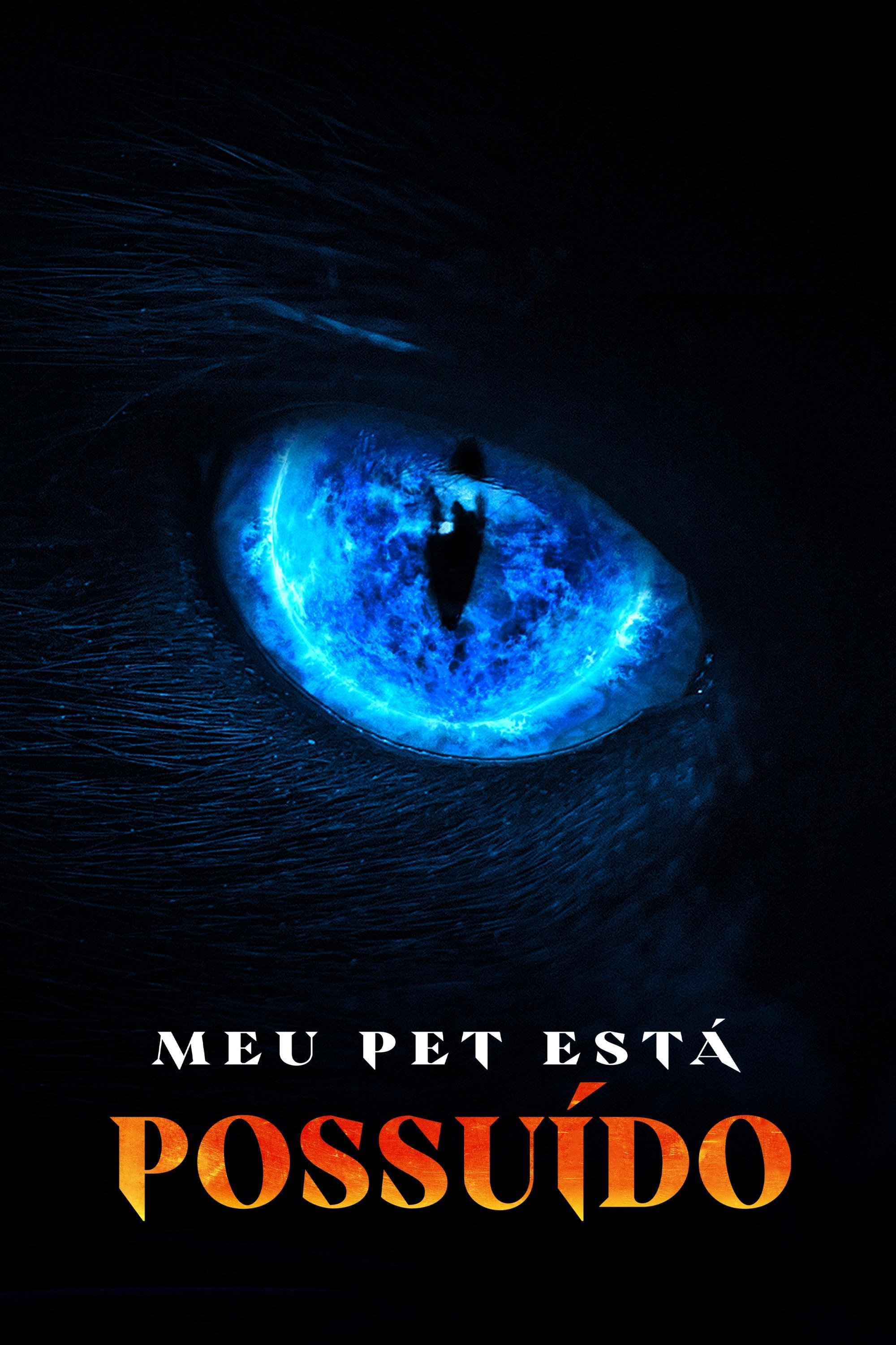 Poster de Meu Pet Está Possuído