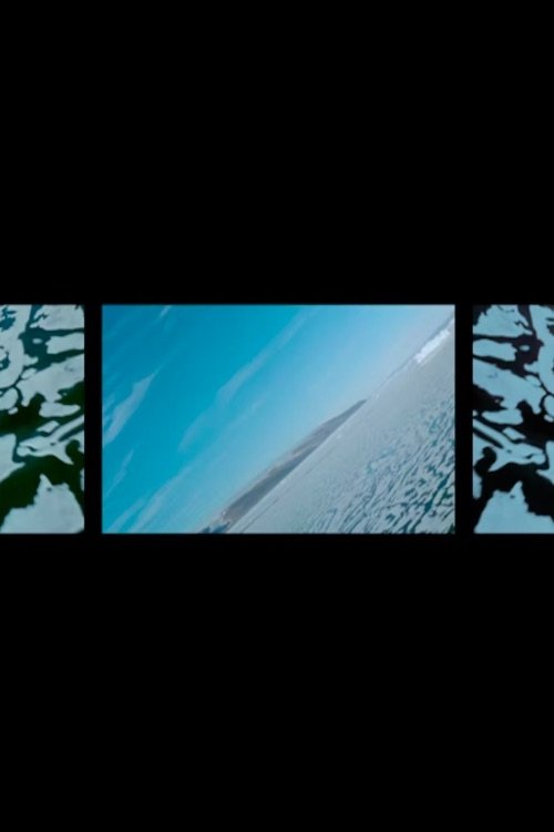 Poster de Polar Life