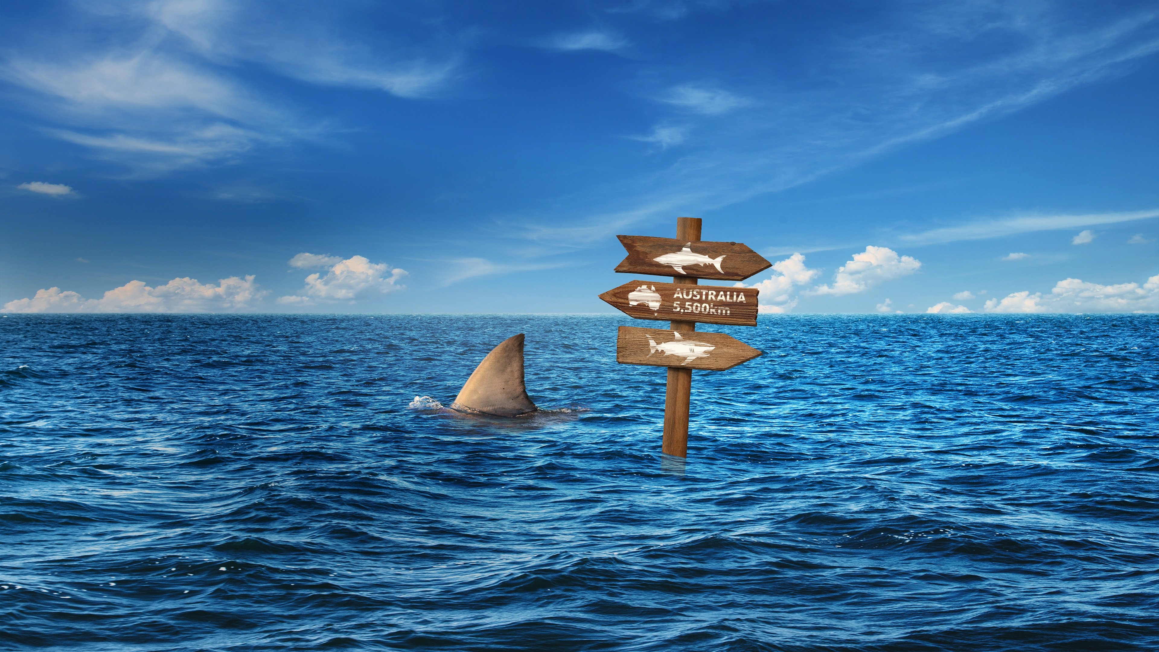Super Shark Highway