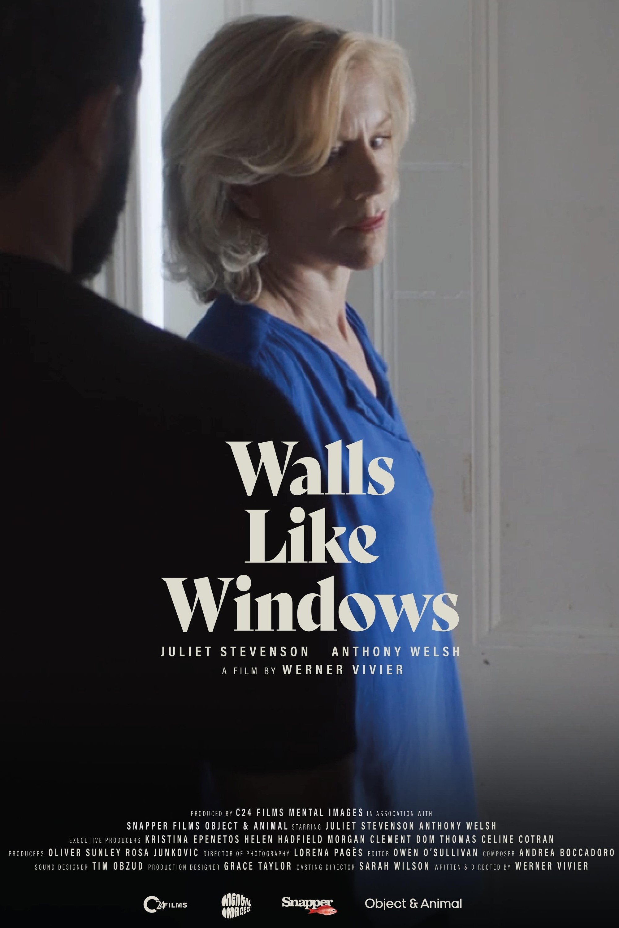Affiche du film Walls Like Windows