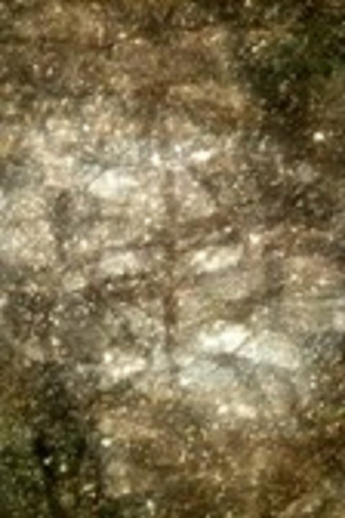 KONTRAST