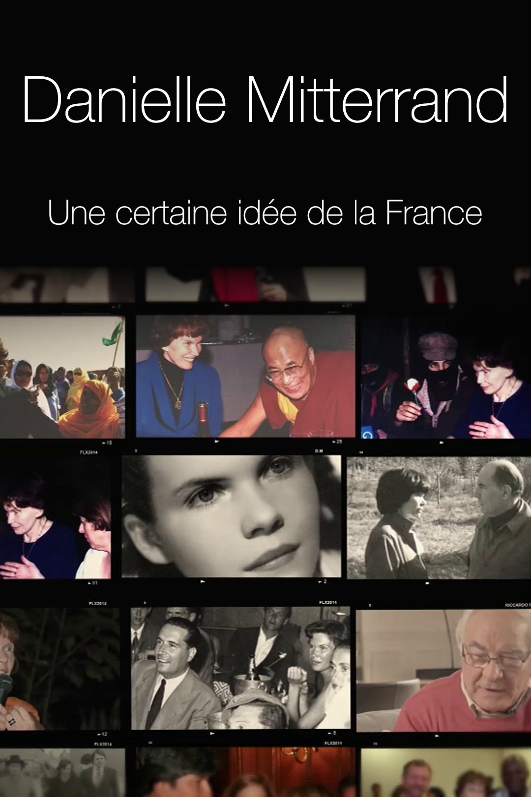 Poster de Danielle Mitterrand, une certaine idée de la France