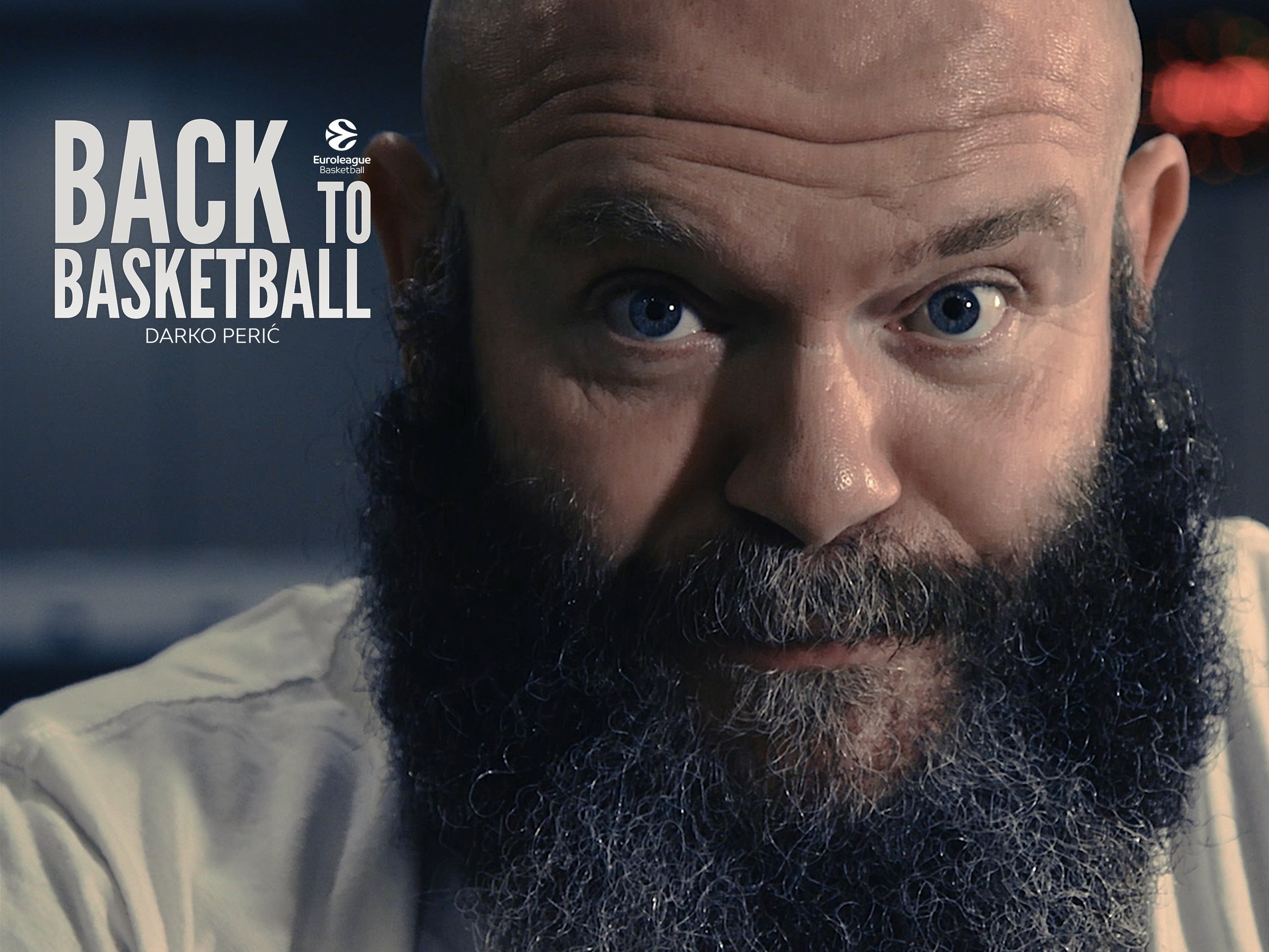 Back to Basketball