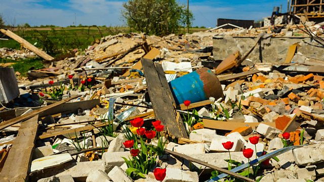 When Spring Came to Bucha