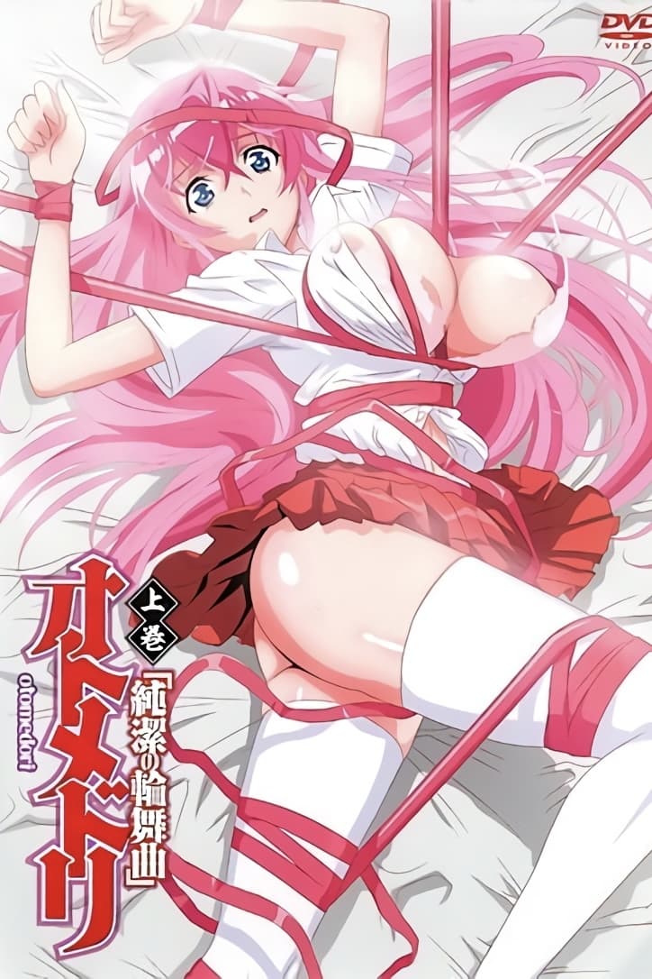 Poster de Otome Dori