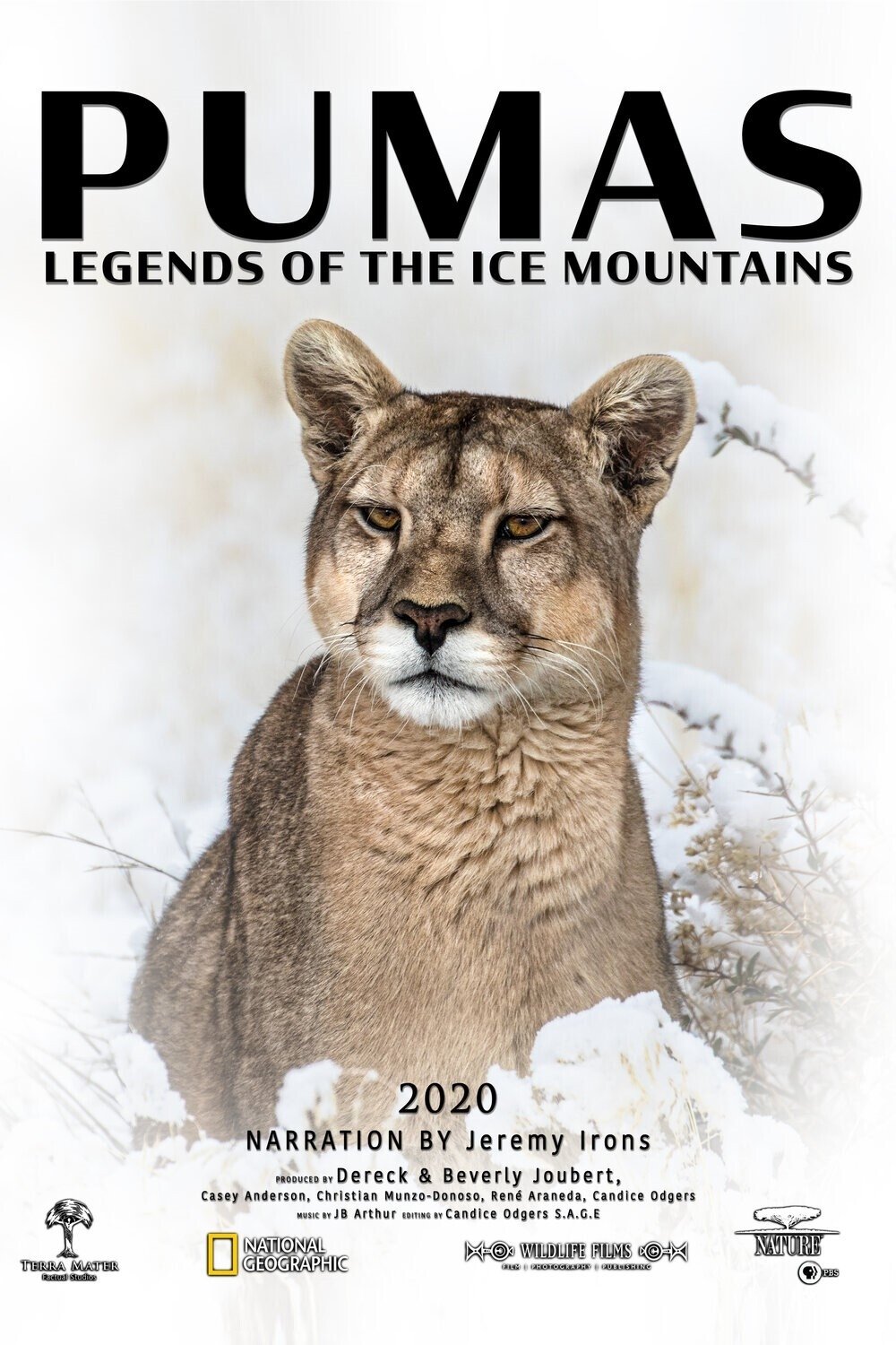 Poster de Temporada 1