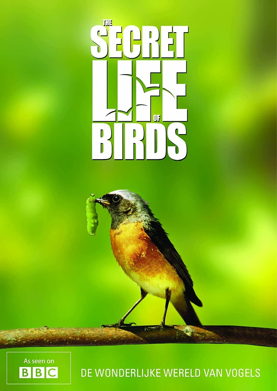 Poster de Iolo's Secret Life of Birds