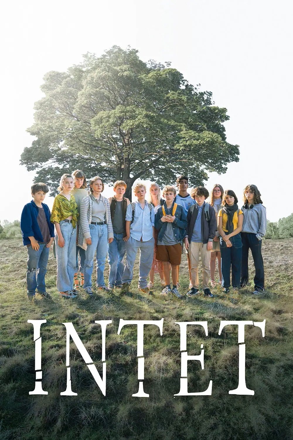 Poster de Intet