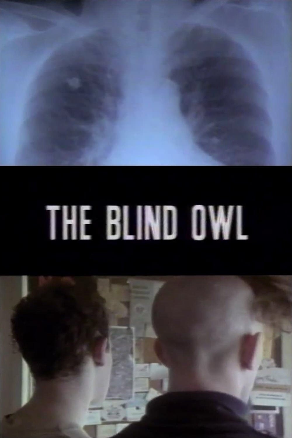 Poster de The Blind Owl