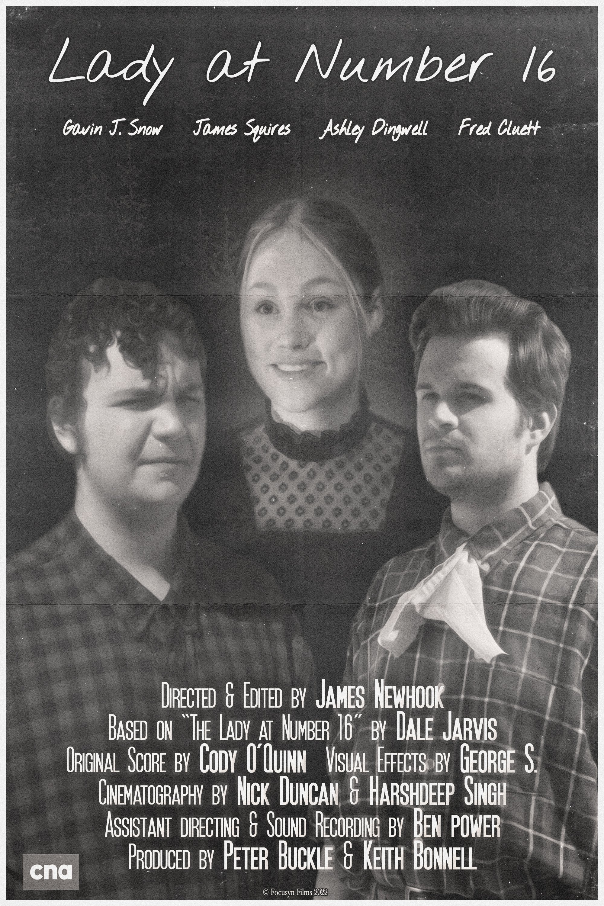 Poster de Lady at Number 16