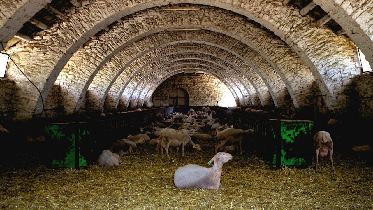 Backdrop image