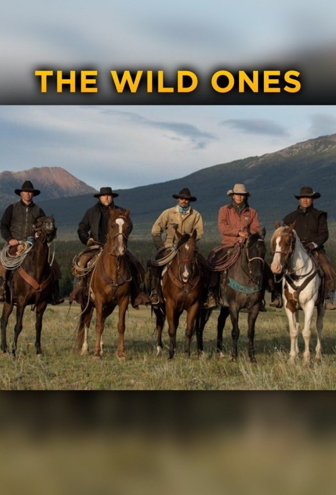 Poster de The Wild Ones