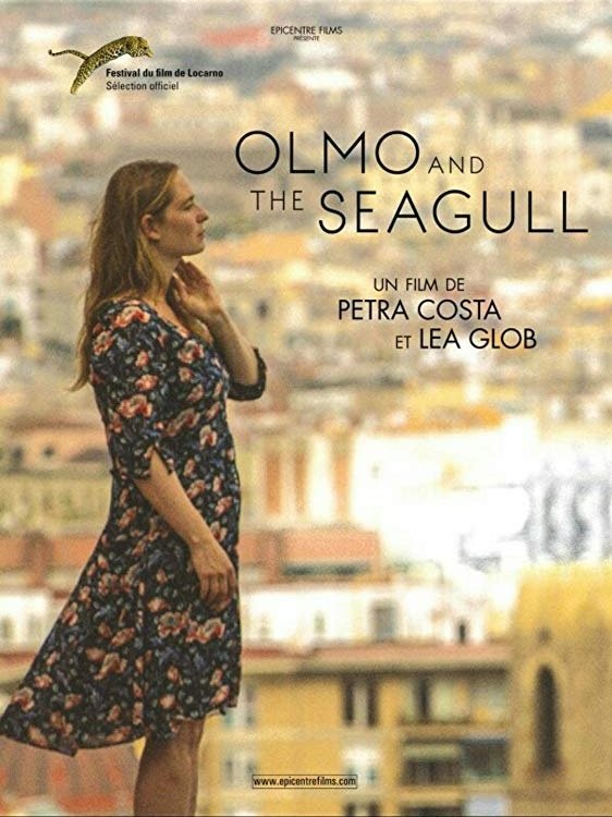 Affiche du film Olmo and the Seagull
