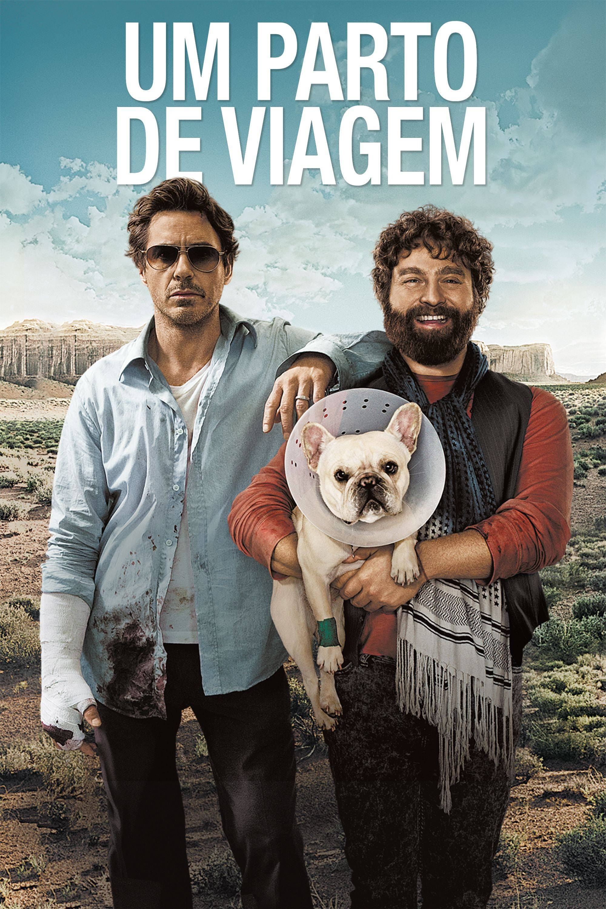 Poster de Um Parto de Viagem