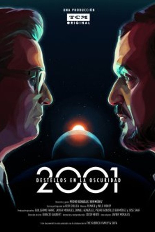 Poster de 2001 : Destellos en la oscuridad