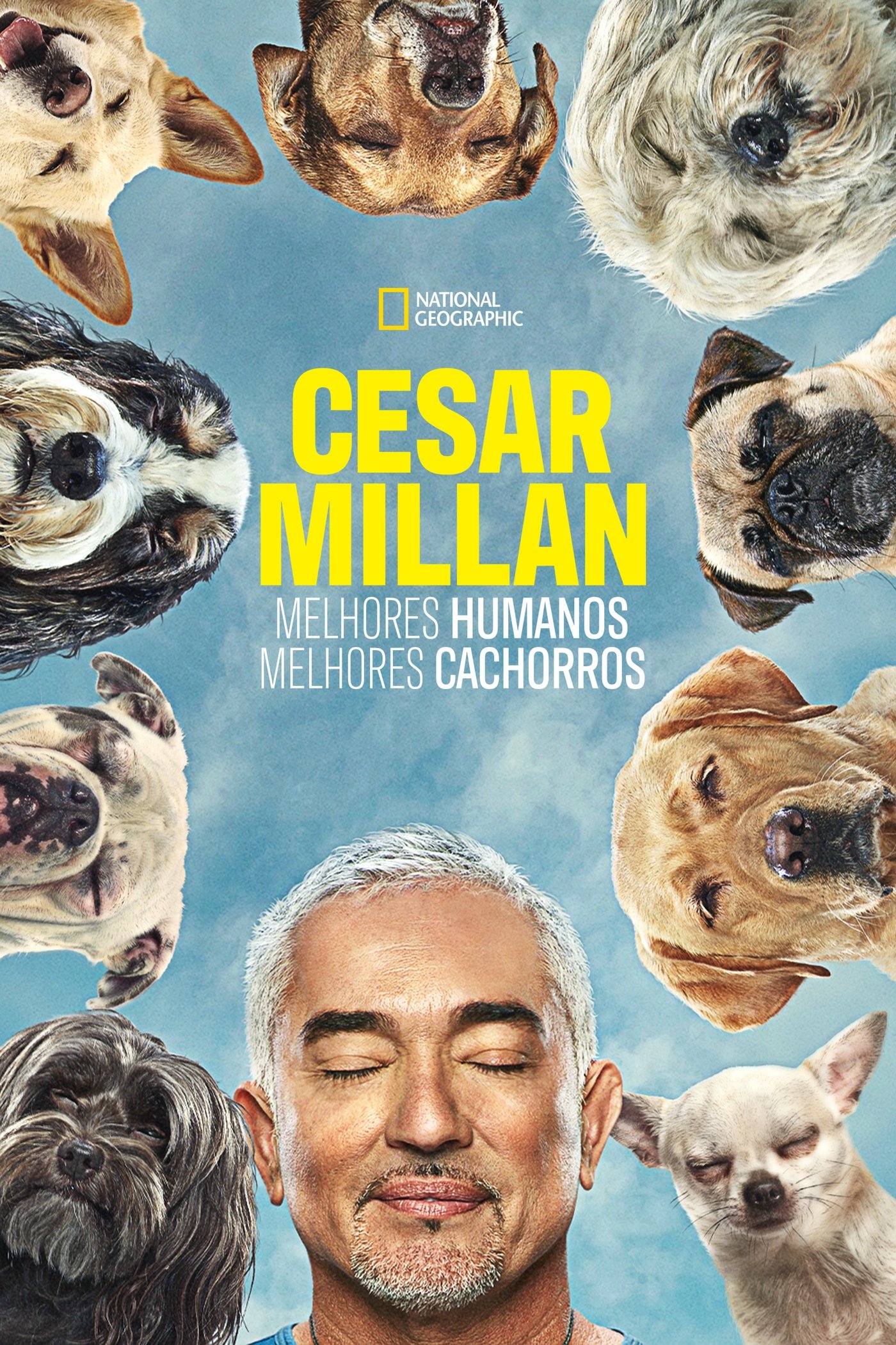 Poster de Cesar Millan: Melhores Humanos, Melhores Cachorros