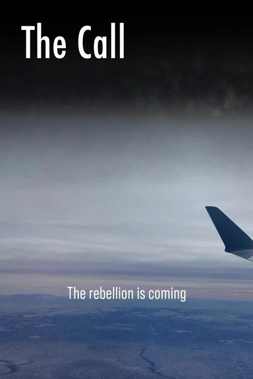 Poster de The Call