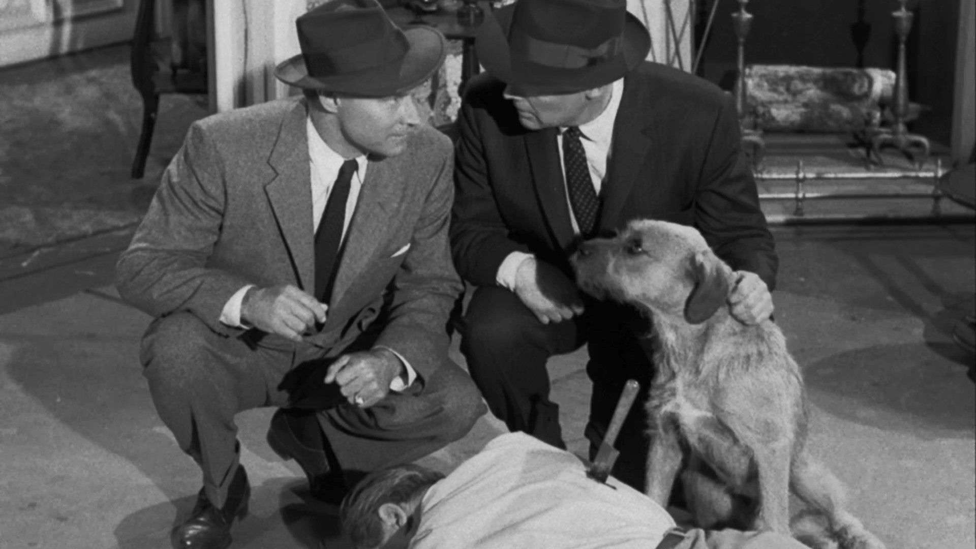 The Case of the Sun Bather's Diary