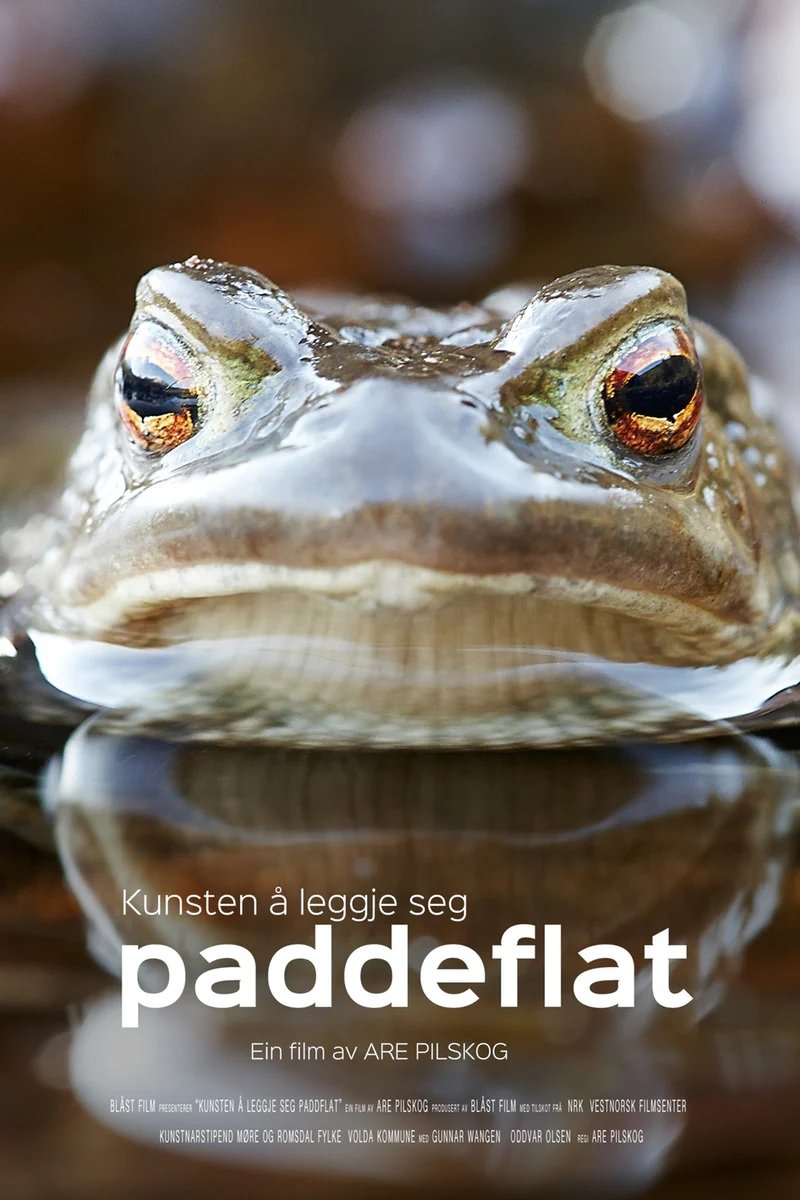Poster de Kunsten å leggje seg paddeflat