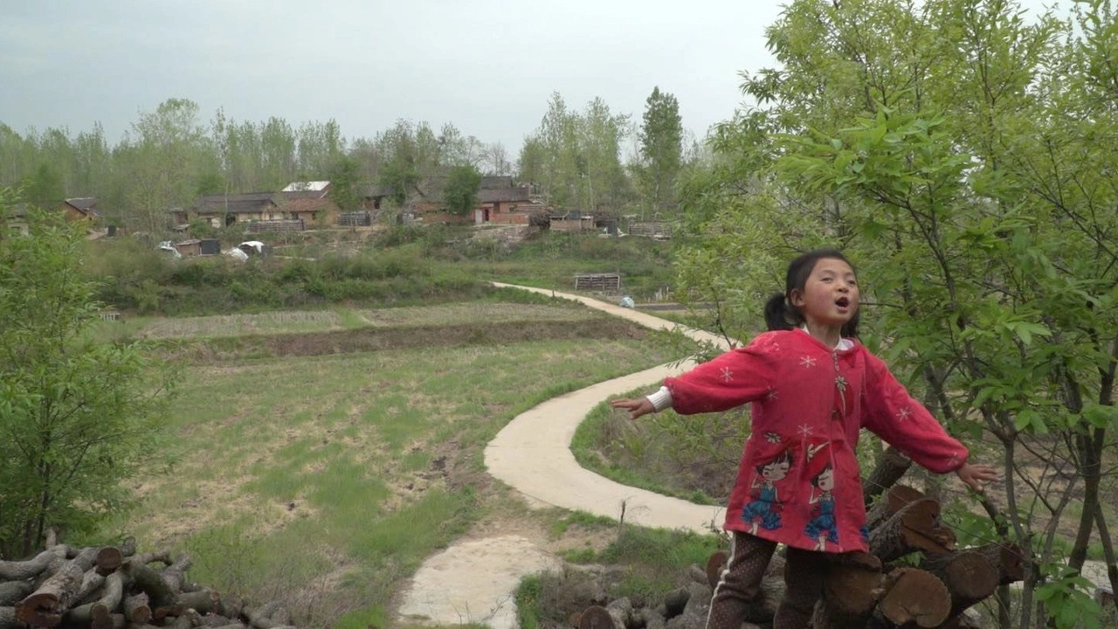 Zhang Mengqi