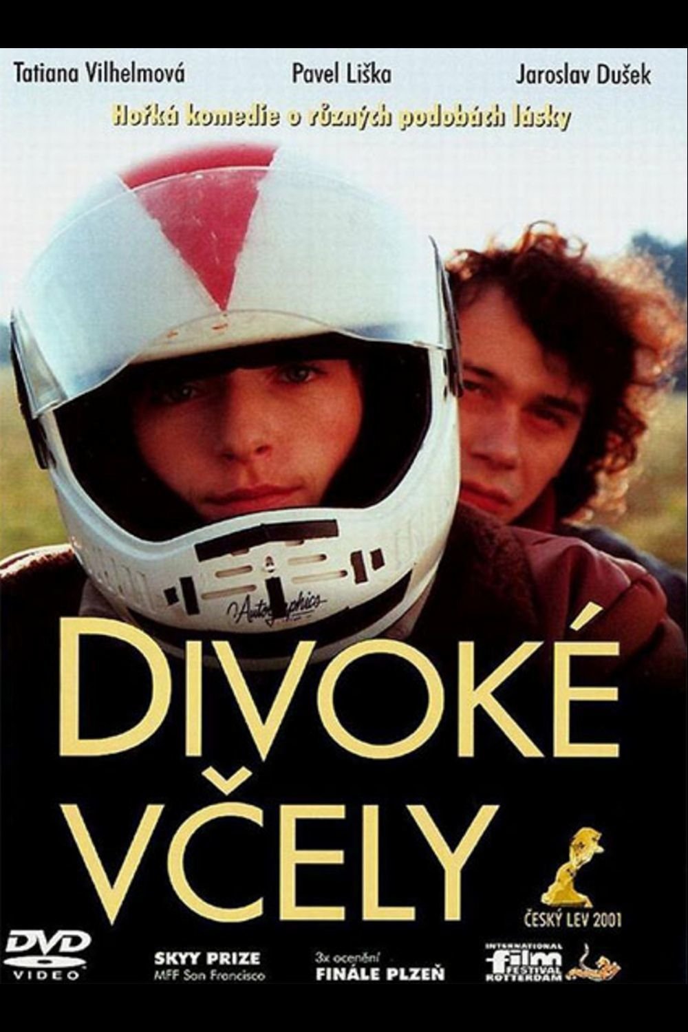 Divoké včely