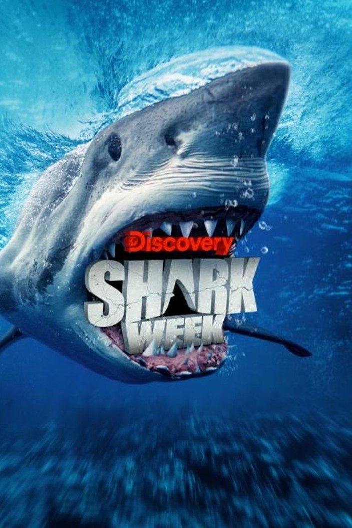 Poster de Temporada 38