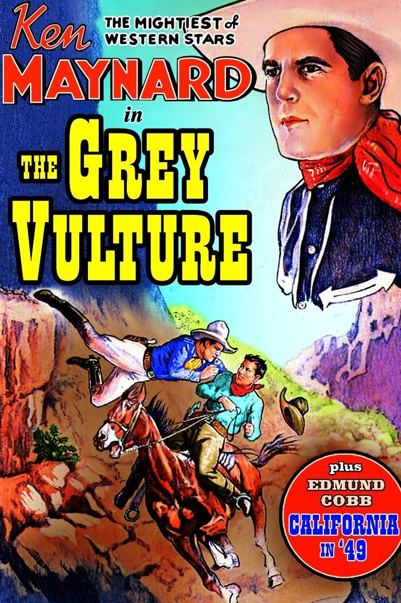 Poster de The Grey Vulture