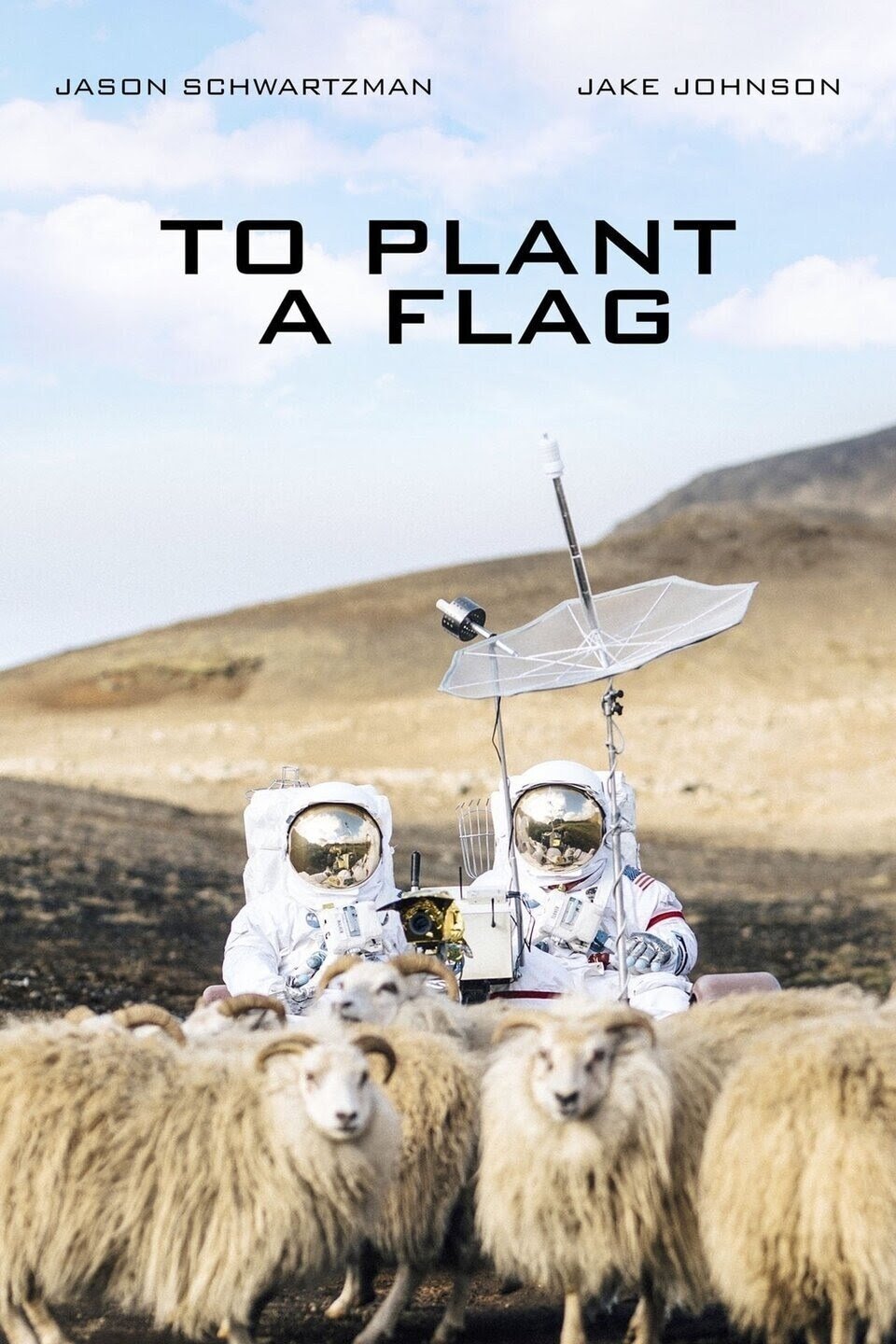Poster de To Plant a Flag