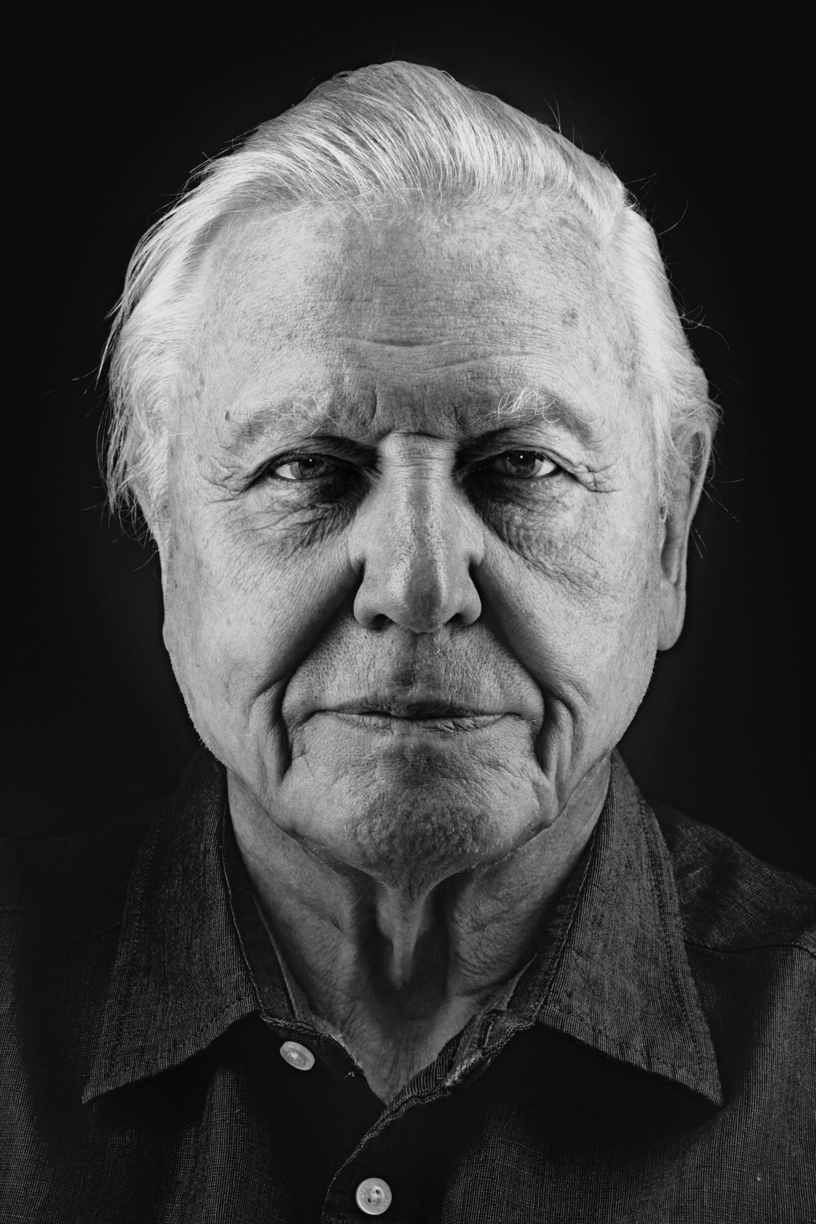 Foto de David Attenborough