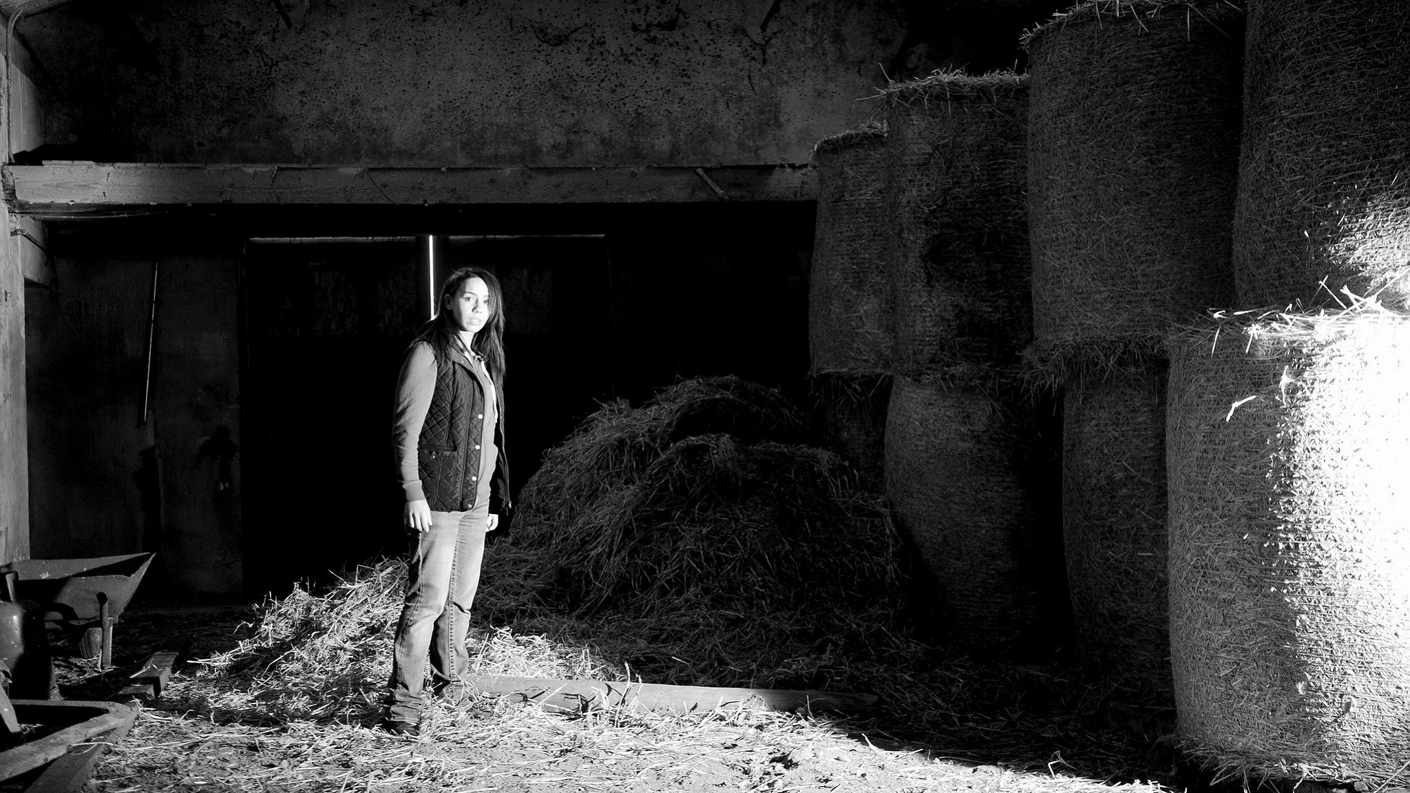 backdrops