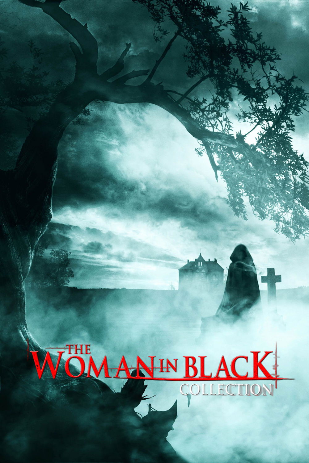 Poster of The Woman in Black Collection