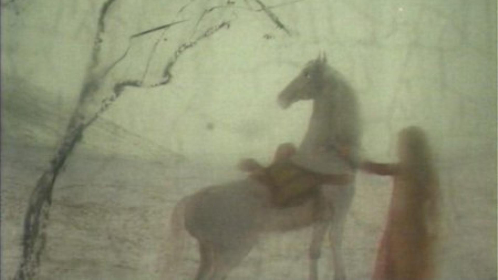 Movie picture