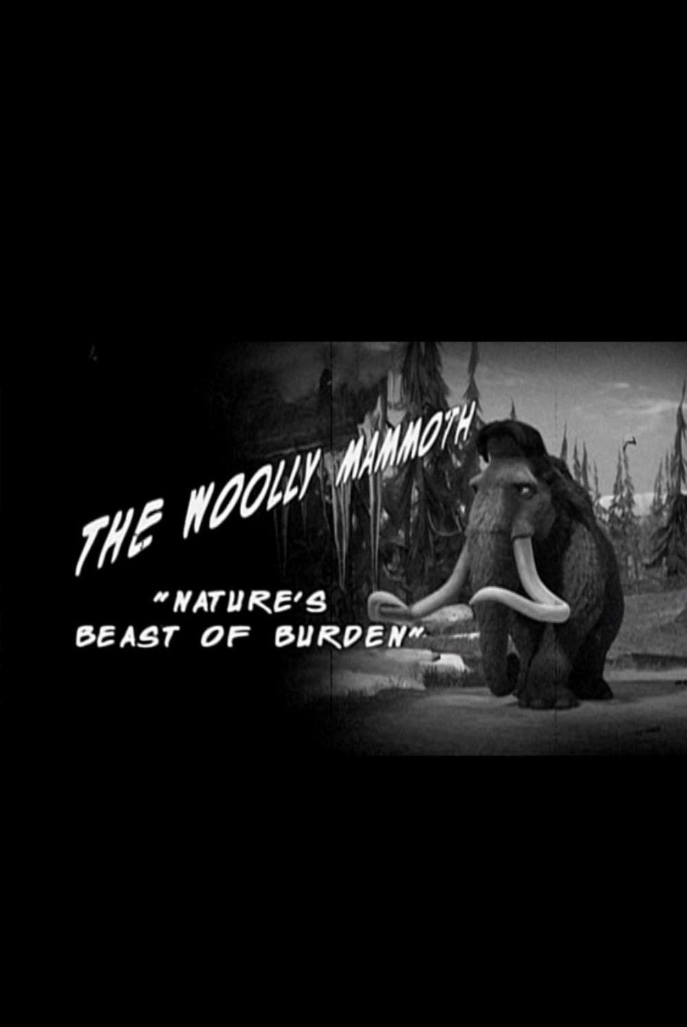 The Woolly Mammoth Mammoth "Nature's Beast of Burden