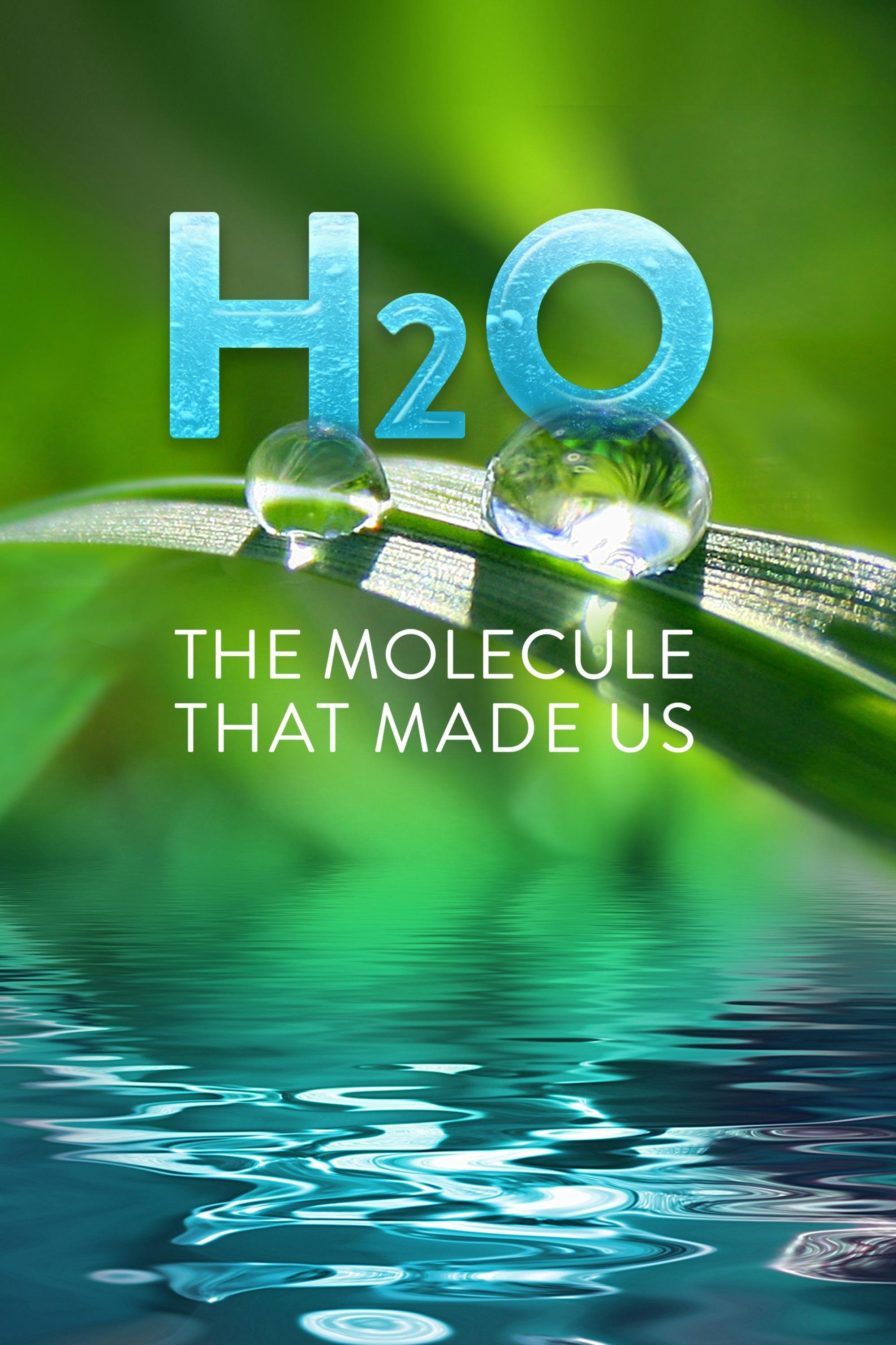 Poster de H2O: The Molecule that Made Us