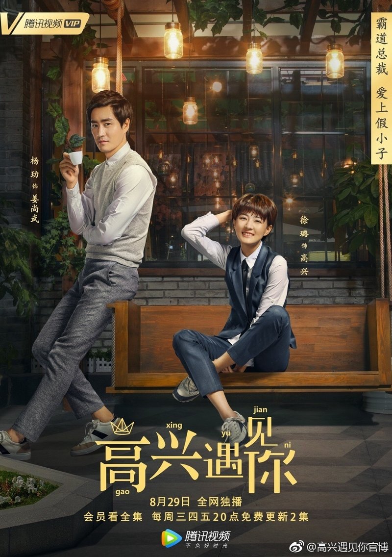 Poster de 高兴遇见你