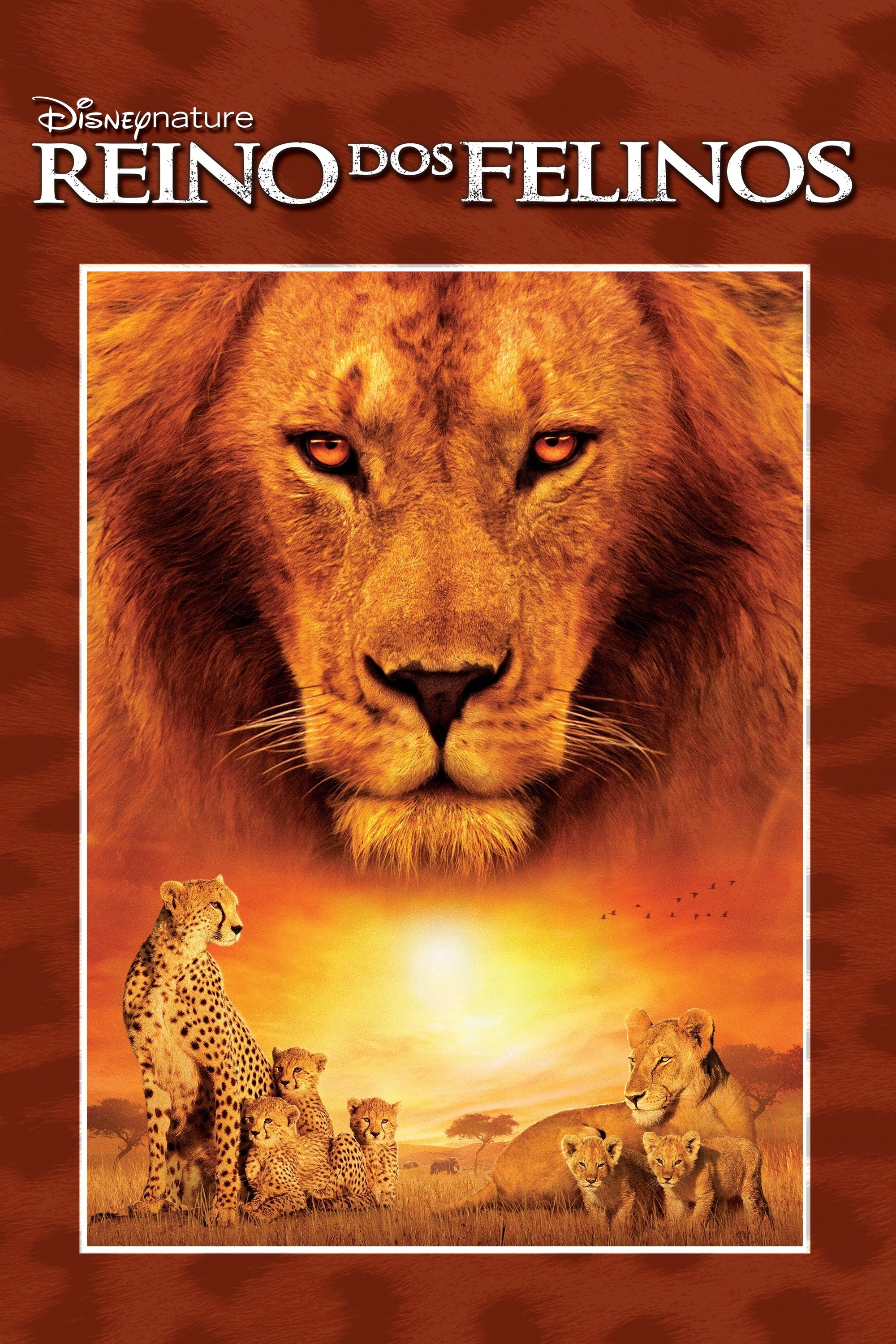 Poster de Reino dos Felinos