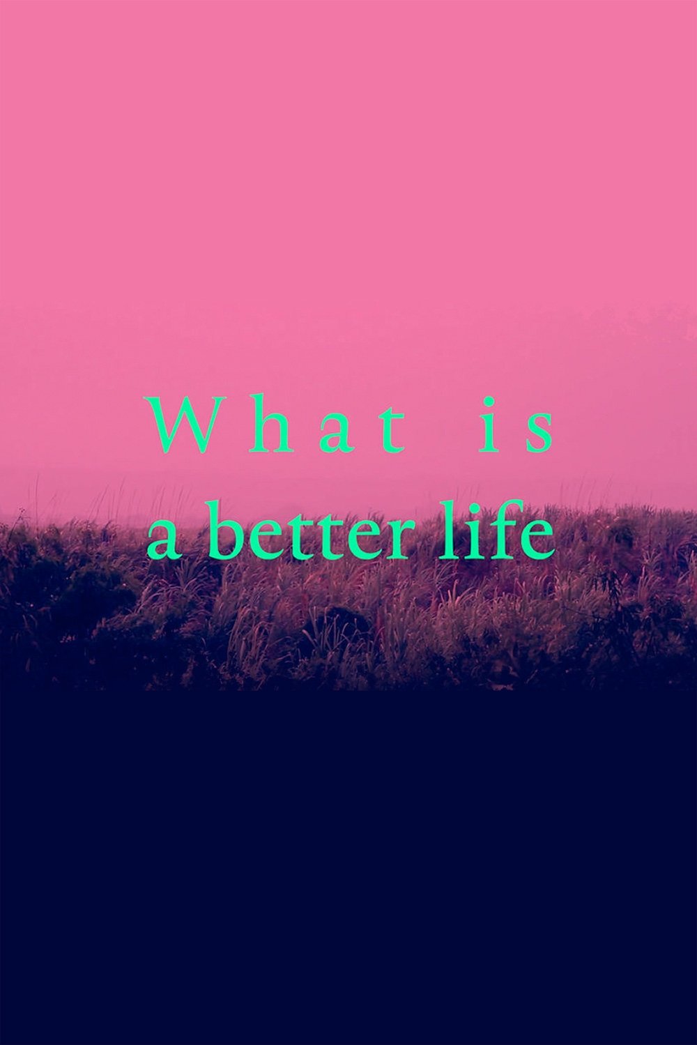 Poster de What is a better life (exorcised in the middle)