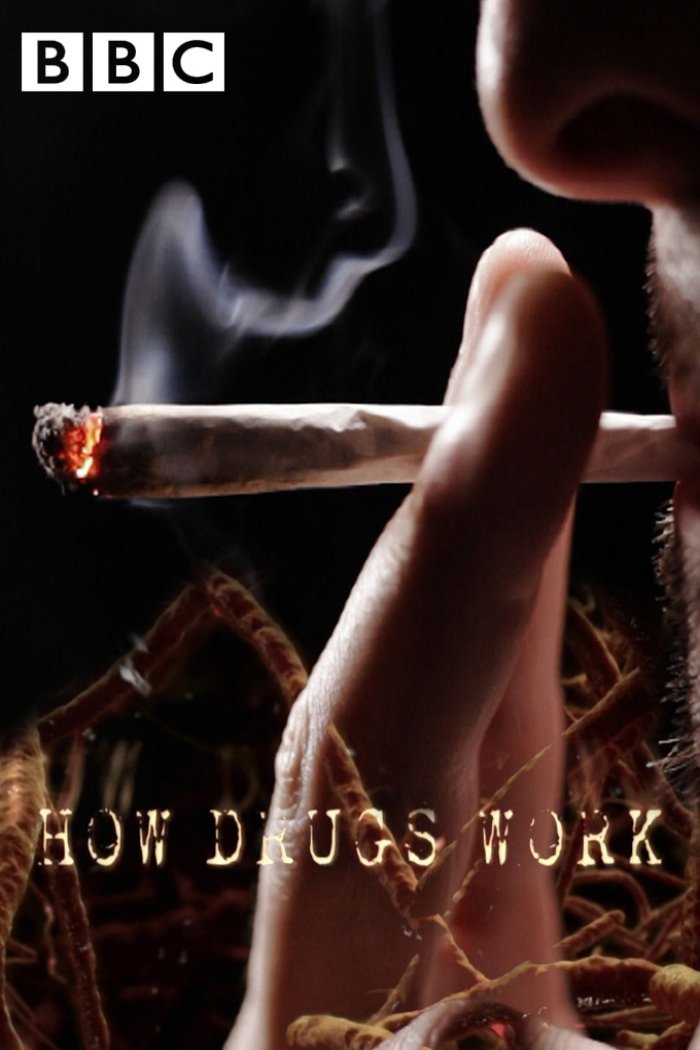 Poster de How Drugs Work