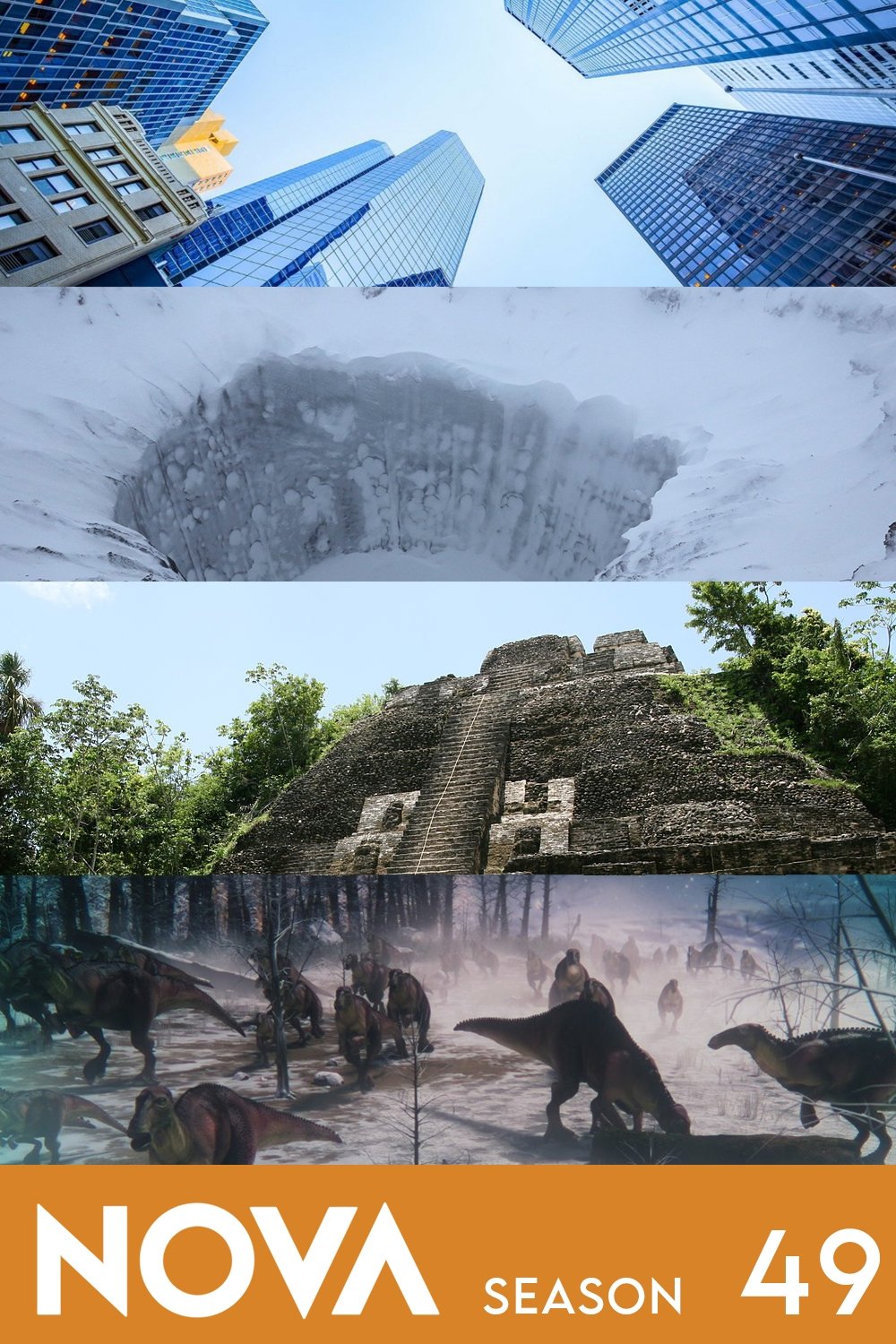 Poster de Temporada 49