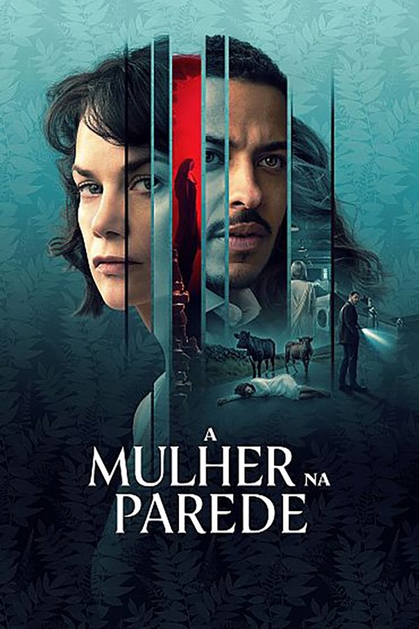 Poster de A Mulher na Parede