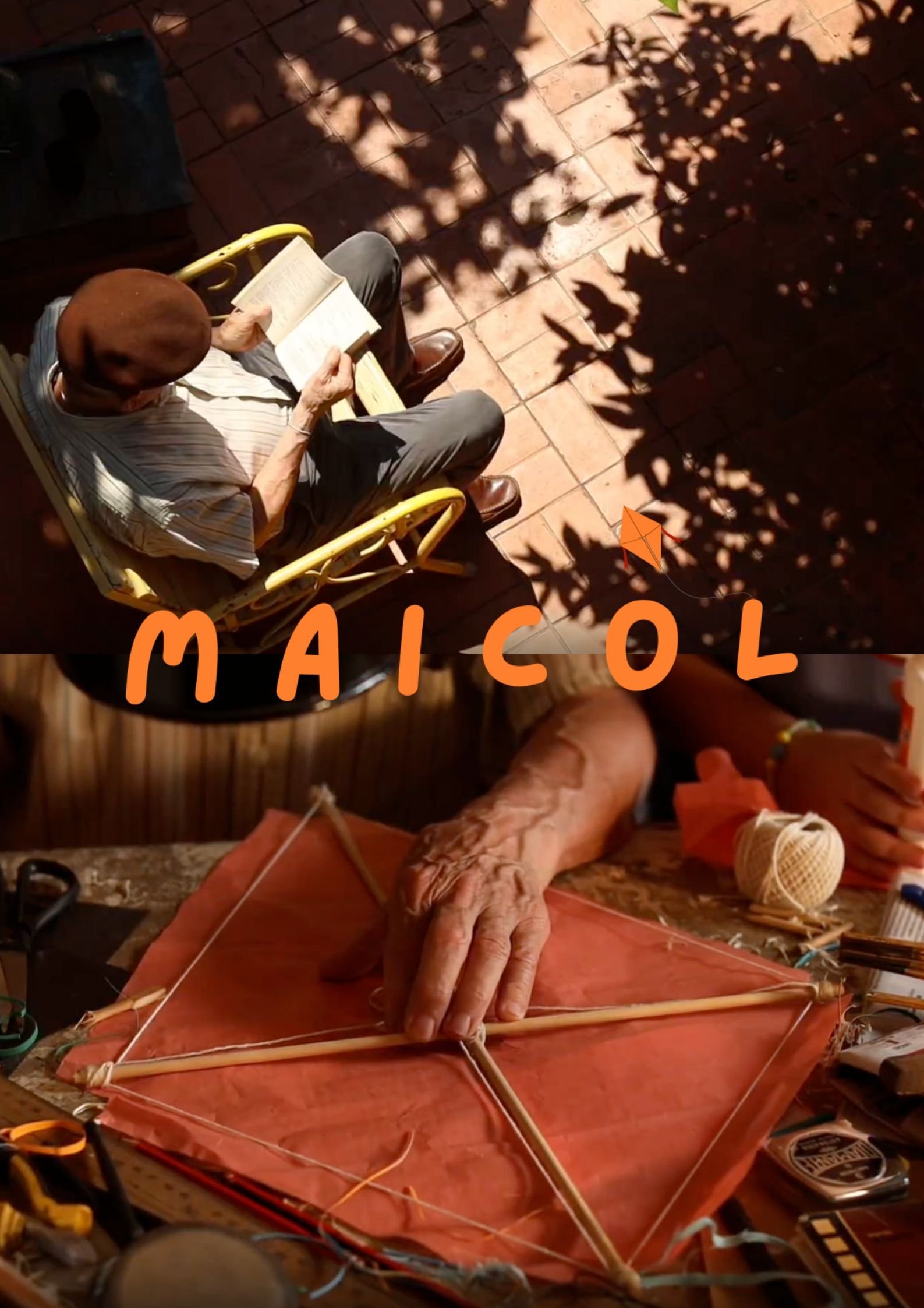 Poster de MAICOL