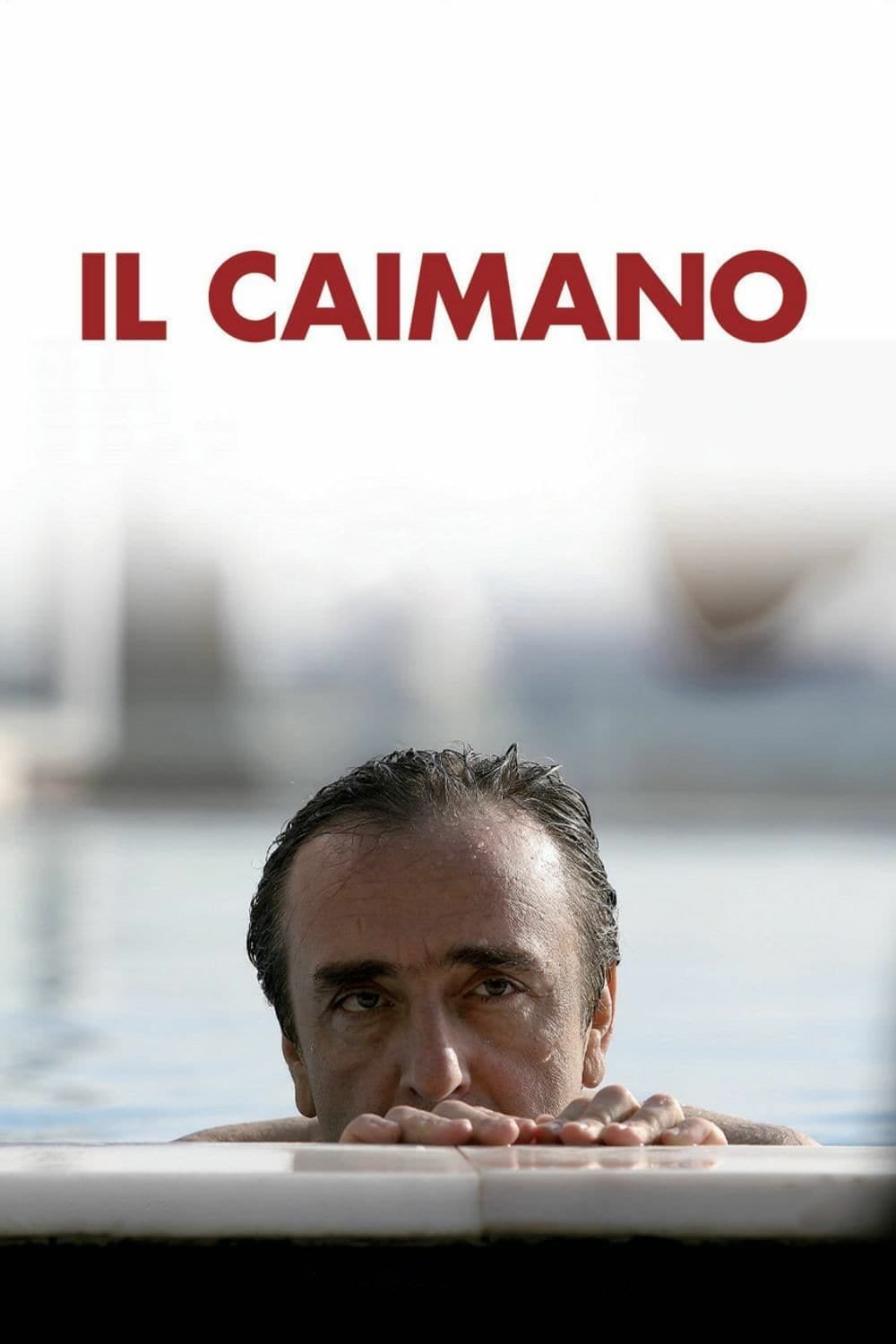Poster de Il caimano