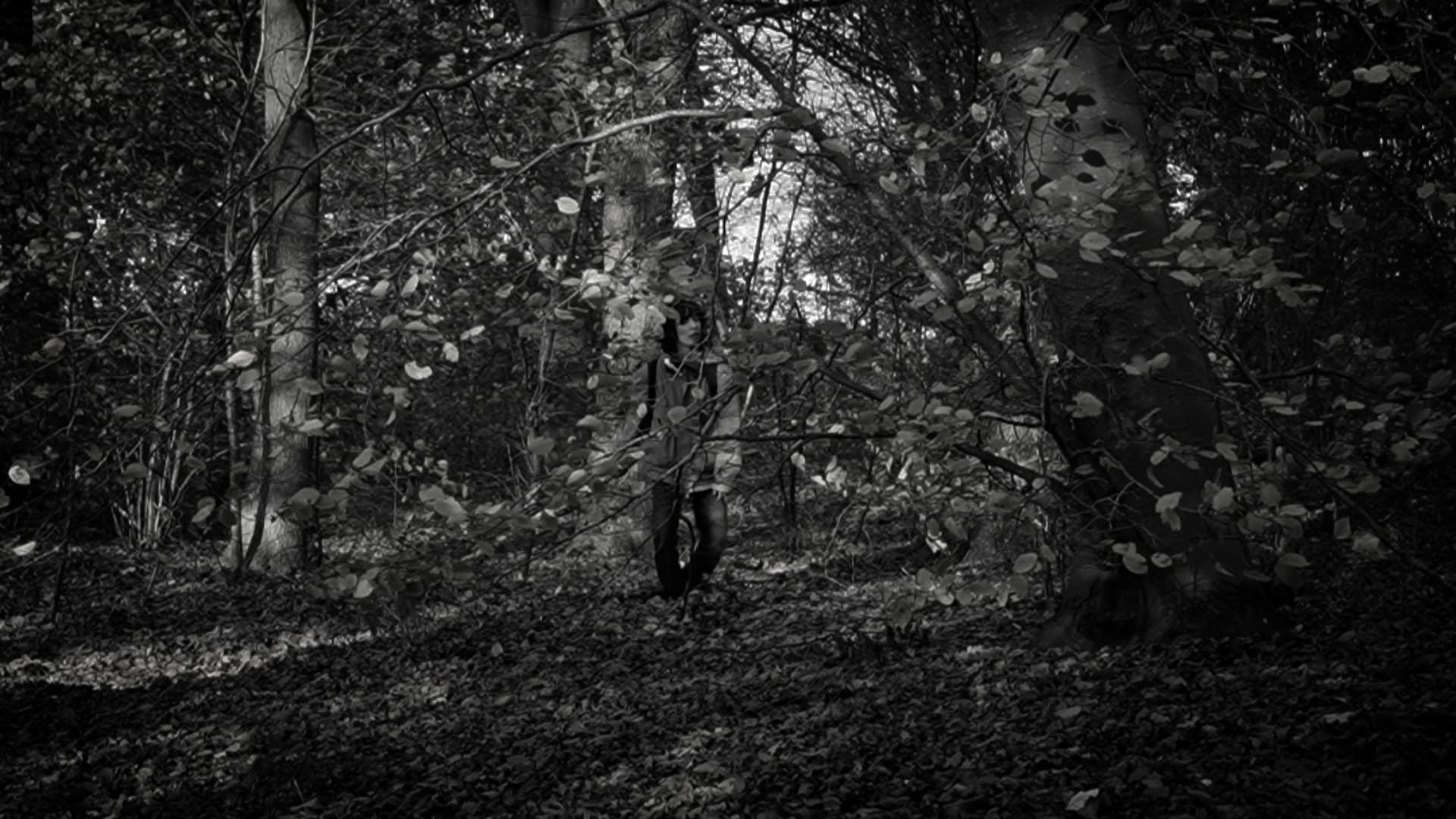 the forest of great mystery and emptiness