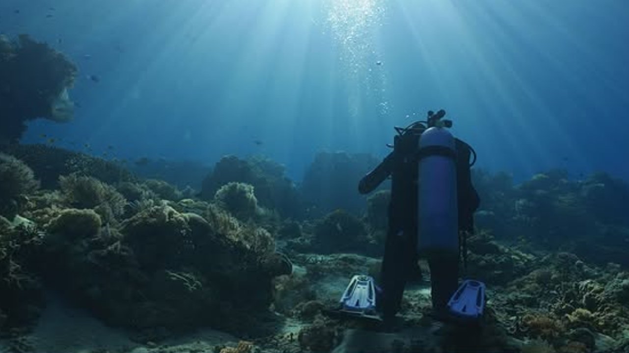 SOULS - Stories of our underwater heroes