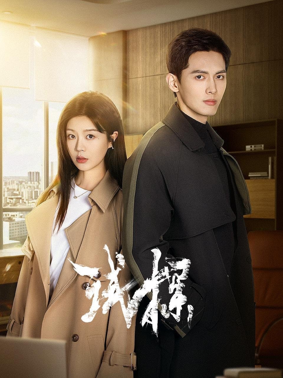 Poster de 试探