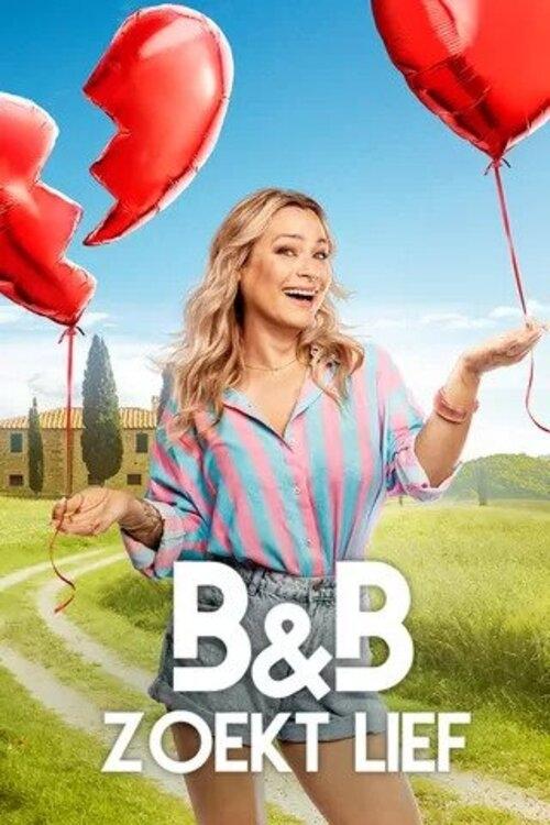 Poster de B&B zoekt Lief