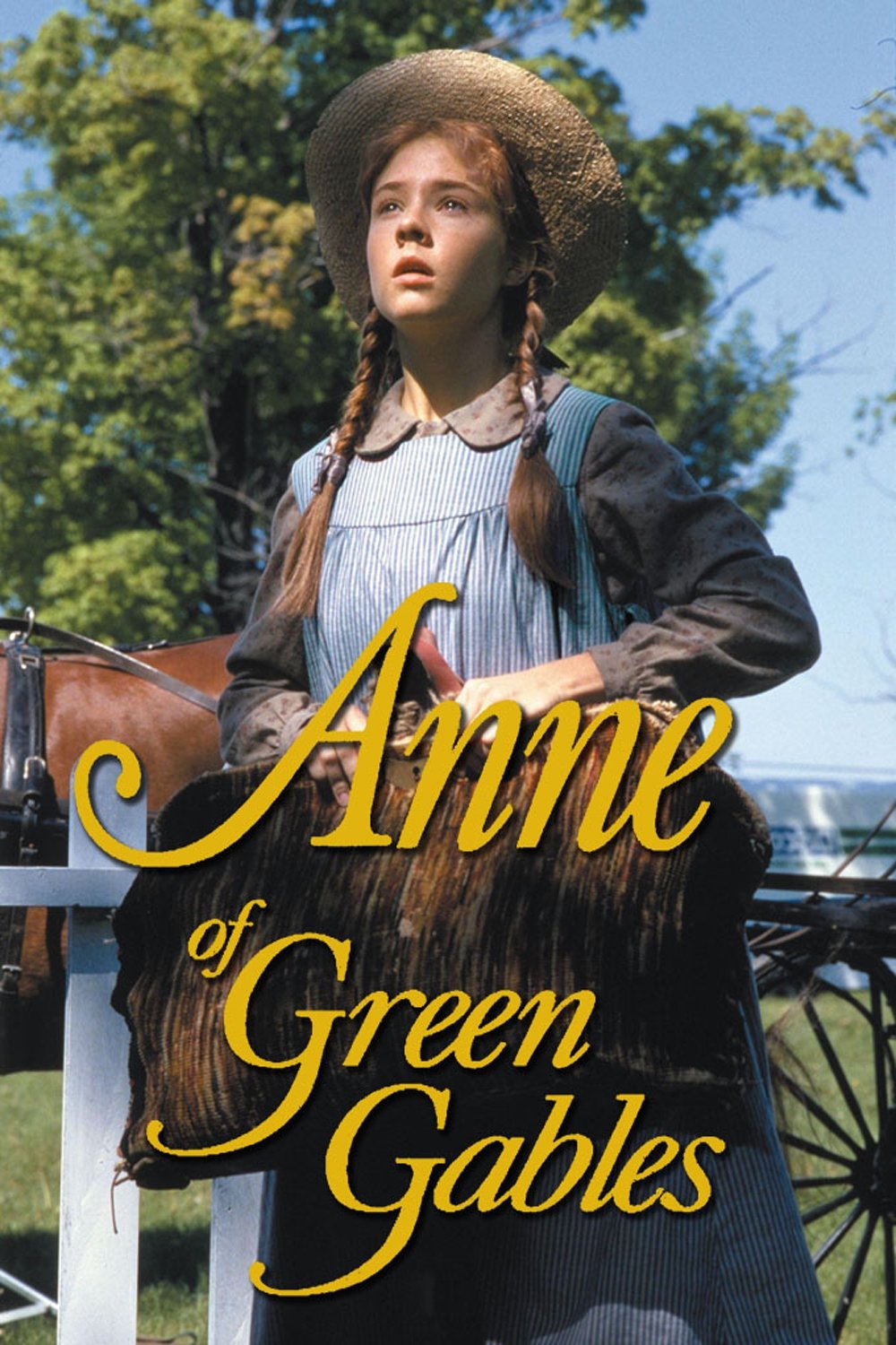 Poster de Os Amores de Anne