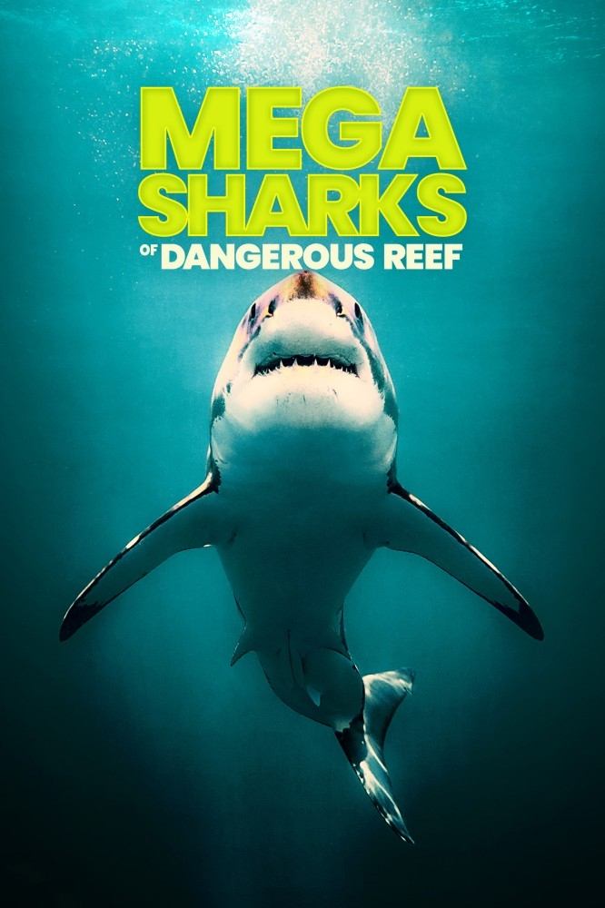Poster de Megasharks of Dangerous Reef