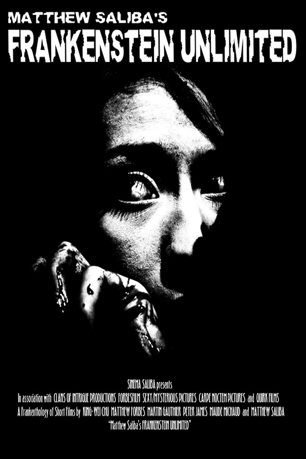 Poster de Frankenstein Unlimited